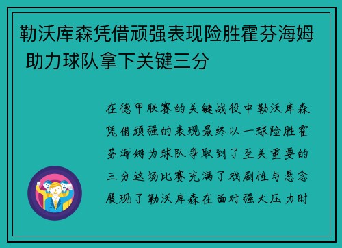 勒沃库森凭借顽强表现险胜霍芬海姆 助力球队拿下关键三分